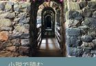 物事の本質を把握する能力（問題解決）